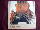 GRUPO SINTESIS 