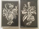 Organum David Jackman Cassette Group Ikon Tape Avant Noise New Blockaders NWW