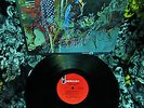MINT 1966 MONO ?THE BLUES MAGOOS ? PSYCH LOLLIPOP GARAGE We Aint Got Nothin Yet