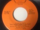 RARE Modern Soul E.J. & The T.N.J.'s 45