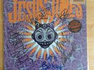 Jesus Jones Doubt Vinyl Lp Signed All Band Members