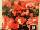 Rival Schools - Pedals, Vinyl, new & sealed rar Walter Schreifels