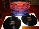 My Brother the Wind -Twilight in the crystal cabinet /eine der TOP 10 -2011Alben