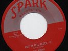 Robins-Riot In Cell Block #9-NM Spark Doo Wop 45 