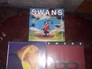 Swans Vinyl LP Lot, sonic youth, post-punk, experimental