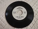 PEARLS BEFORE SWINE  I SAW THE WORLD/IMAGES OF APRIL  ESP-DISK 1076  PROMO