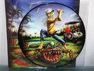 IRON MAIDEN - THE EVIL IN FLORIDA LIVE 2011 PIC LP PICTURE DISC VINYL W CVR RARE