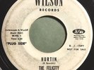 * FELICITY Hurtin' / I'll Try It (Don Henley) RARE GARAGE PSYCH Wilson 45 HEAR
