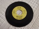 GARAGE THE AVENGERS WHEN IT'S OVER/YOU CAN'T HURT ME ANYMORE F-G 104