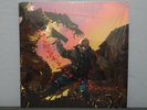 Shadow Warrior 2 Collector's Edition PS4 Big Wang Deluxe Edition Vinyl Record