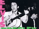 ELVIS PRESLEY - VINYL - BLUE MOON - FREE SHIPPING  NO TAX