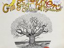 Daevid Allen And Mother Gong - The Owl and the Tree 1989 Vinyl LP Record VG+
