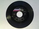 Bonnie and The Treasures 45 rpm 
