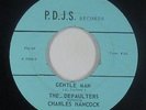 Sweet Soul/Funk Disco 45 - Defaulters - Gentle Man - P.D.J.S. - VG+ mp3