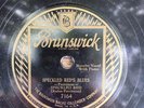 Bruns 7164 Speckled Red SPECKLED RED BLUES   78 rpm E/EE+ 1928