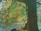 John Lennon   - Plastic Ono Band(180g Numbered Limited Edition) Mofi