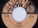 Rockabilly 45 DENNIS BICE & RHYTHM RIDERS Jogger MICHIGAN NICKEL COMPANY HEAR
