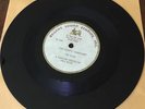 Mega RARE New Jersey 60's Garage Fuzz rocker Acetate The Ruins 7
