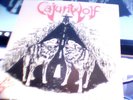 CAJUN WOLF EASY RIDER / JUST ROCKIN  NWOBHM / HEAVY METAL / PRIVATE PRESSING