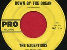 THE EXCEPTIONS 