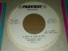 Northern Soul 45-Roddie Joy-A Boy Is Just A Toy / Stop-Parkway 991-WLP