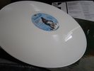 GEORG DANZER ?- WEISSE PFERDE - MAKELLOSE ERHALTUNG MINT ORIGINAL WEISSES VINYL