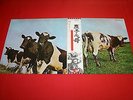 Pink Floyd ?/ Atom Heart Mother/ EMS-80320 / Japan LP