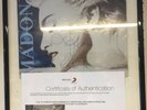 LP 33 giri Disco MADONNA TRUE BLUE 1986 AUTOGRAFATO Signed memorabilia COA