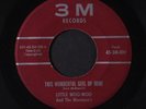 LITTLE WOO-WOO: This Wonderful Girl Of Mine / My One And Only 45 (A different r