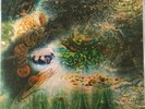Pink Floyd A Saucerful of Secrets LP Vinyl Record 1968