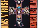 GUNS N’ ROSES: Appetite for Destruction USA GEFFEN Hard Rock Vinyl LP NM- Superb