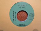 BREWTOWN 45 RECORD/FAT BRUCE/ GOT TO GET IT/ NEST IN A FALLEN TREE/NR MINT PSYCH