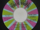 Northern Soul Funk Gospel 45 - Shirley Caesar - Stand The Storm - HOB - VG++ mp3