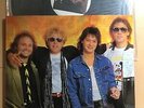 VAN HALEN BEST OF BOTH WORLDS / S29/(2022/29)