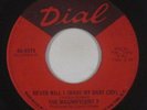 Northern Soul 45 - Magnificent 7 - Never Will I (Make My Baby Cry) - Dial - mp3