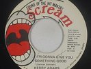 Funk Soul 45 - Kerry Adams - I'm Gonna Give You Something Good - Scream VG+ mp3