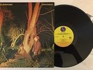 Echo And The Bunnymen - Crocodiles - 1980 1st Press SRK 6096 Near Mint (NM)