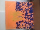 This Kind Of Punishment A Beard Of Bees LP Xpressway Flying Nun ORIGINAL NZ DIY