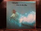 Noah - Turn To The Sun