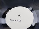 BUDGIE  - BANDOLIER - RARE MCA 1975 WHITE LABEL TEST PRESS NM