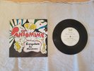 The Beatles PANTOMIME 4th CHRISTMAS FLEXI Fan Club xmas message LYN 1155 1966