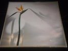 New Musik - From A to B - Vinyl Record LP Album - GTLP 041 - 1980