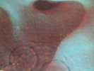 PINK FLOYD - MEDDLE - DE 71 - 1st PRESS