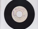 FREE THE PEOPLE  -  BRUCE RUFFIN  (71 REGGAE ROOTS 7