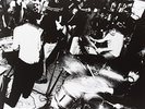 Wolf Parade-Apologies To The Queen Mary  VINYL NEW