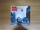 MR. BIG - Bump Ahead 1993 Korea Vinyl LP INSERT