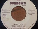 MODERN SOUL 45 by FREEDOM FORCE RARE SO. CAROLINA HEAR BOTH SIDES