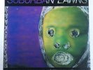 Suburban Lawns LP   Self Titled   Punk  1981   KBD   New Wave  I.R.S.  Near Mint