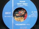 45 RPM WELLINGTON FIVE Rare Northwest Garage  Please Have Mercy b/w Summertime