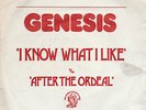 SP GENESIS : I KNOW WHAT I LIKE + 1  LABEL CHARISMA